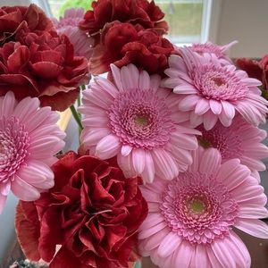 Meet your Posher, Karina